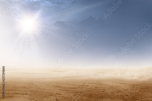 Views of desert with sunlight