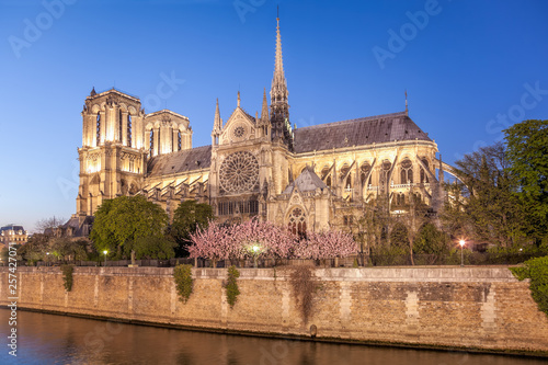 Paris, Notre Dame cathedral in the evening during spring time, France