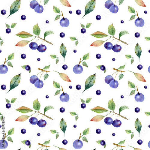 Seamless pattern of branch e berries of sloe