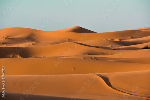 Sahara, Wüster, Marokko