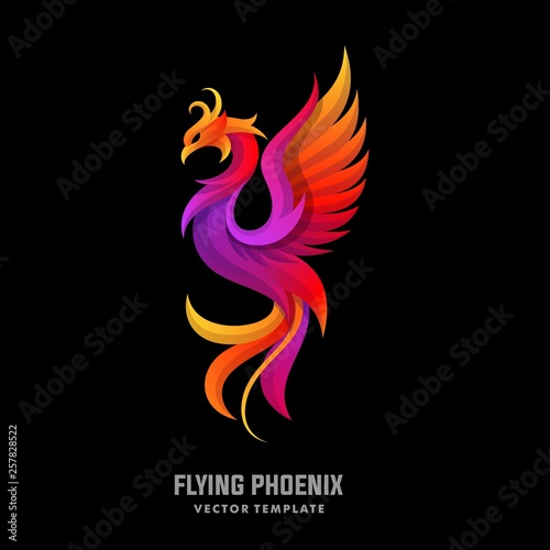 Phoenix Concept Designs illustration vector template