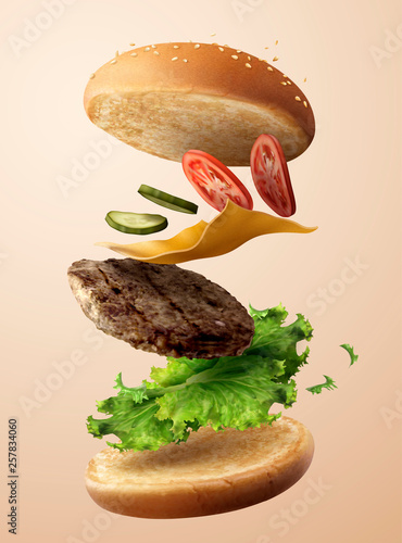 Delicious flying hamburger