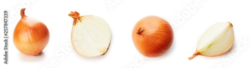 Set of fresh onion isolated on white background