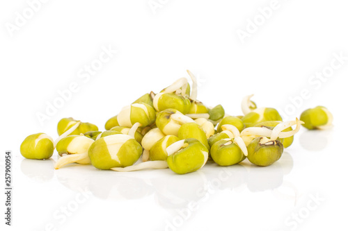 Lot of whole fresh green bean sprouts mungo isolated on white background
