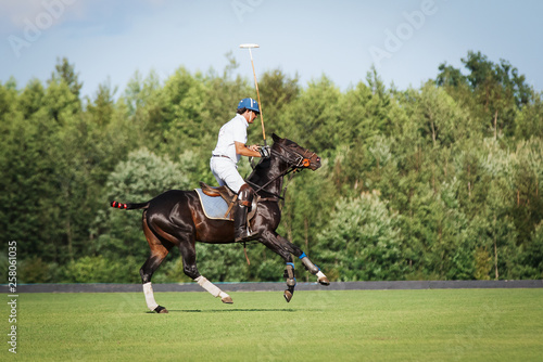 Horse polo player with a mallet in game action