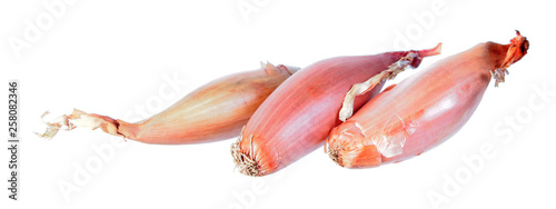 Unpeeled Shallot onion bulbs isolated on white background