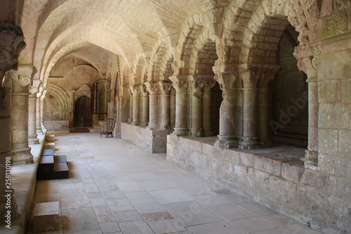 Saint-Vincent abbey - Nieul-sur-l'Autise (France)