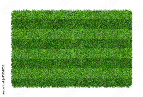Green grass texture background for soccer and football sports. Green grass field pattern and texture isolated on white background.