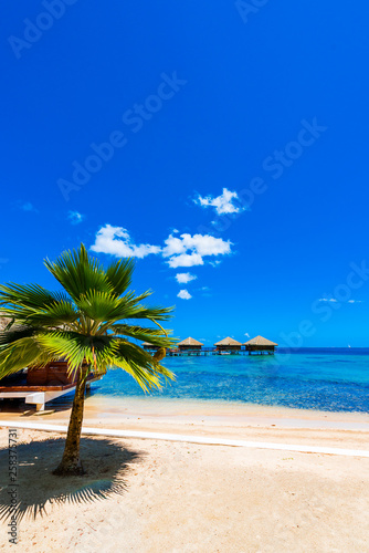 View of the bungalow in the lagoon Huahine, French Polynesia. Vertical. Copy space for text.