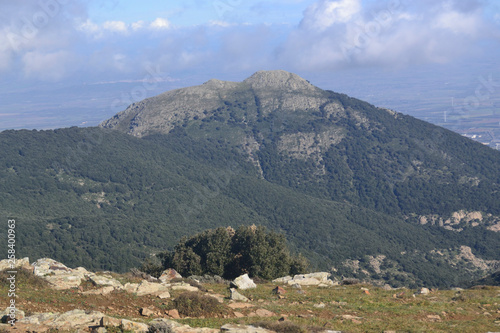 Monte Margiani visto da Punta Santu Miali