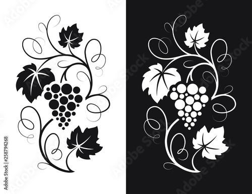 Grapes decorative pattern.
