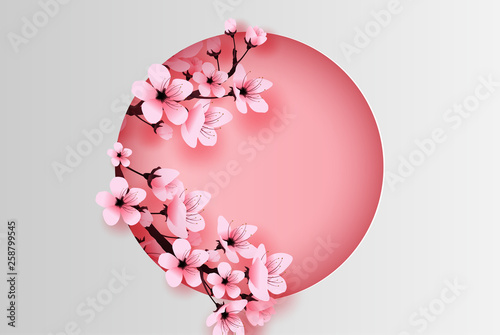 illustration of paper art and craft circle decorated spring season cherry blossom concept,Springtime with sakura branch, Design Floral Cherry blossom with pink flowers on text space background,vector.