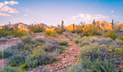Desert Mountains are incredibly beautiful and fun to watch throughout the day as they change frequently, cooling in the shade to blue hues, and turning a bright orange that glows with sunset