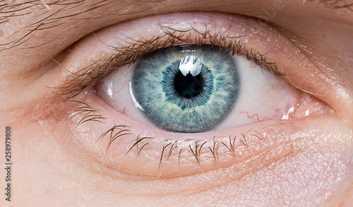 blue eye macro close-up 