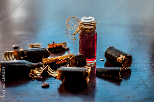 Golden shower tree or garmalo or Amaltas or Cassia fistula oil in a transparent glass bottle along with its fruit and cut pulp on wooden surface.