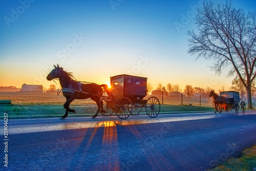 Amish Buggies at Sunrise