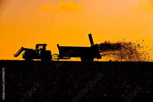 culture agriculture epandage fumier fertilisation planete