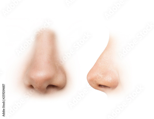 human nose reference images