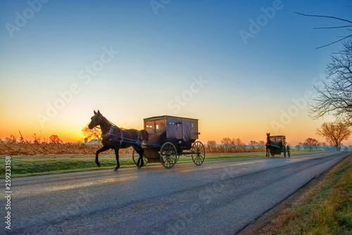 Amish Buggies at Daybreak on Rural Road