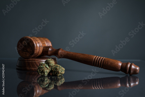 Cannabis und Richterhammer grauer Hintergrund 