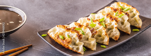 gyoza or dumplings snack with soy sauce