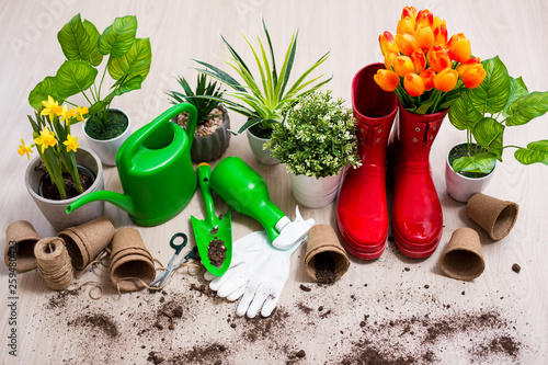 gardening tools, potted plants and spring flowers on wooden table