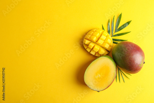 Cut ripe mangoes and space for text on color background, top view
