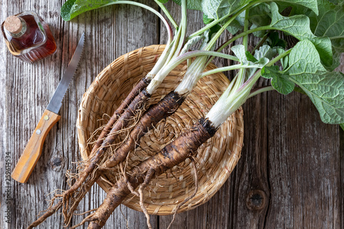 Burdock plants with roots and with burdock tincture