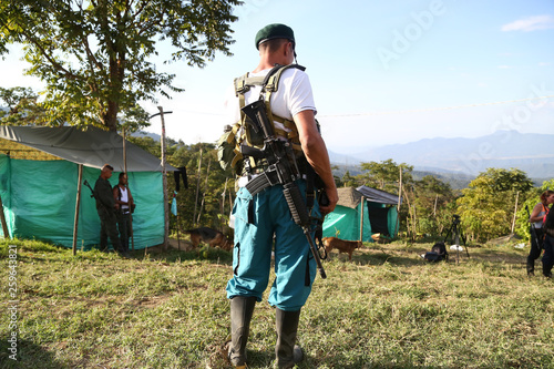 FARC -COLOMBIA DESARME 