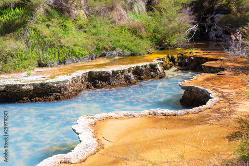 volcanic activities at waimangu