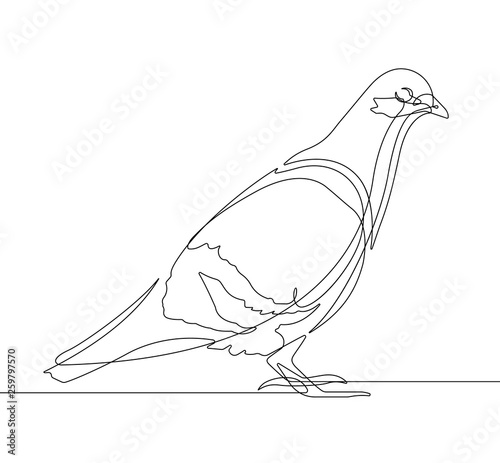 Pigeon Bird One Continuous Line Vector Graphic