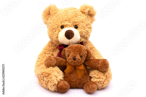 Two small and big brown teddy bear isolated on white background.