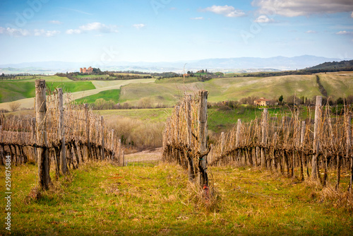 View of Castle of Gallico. Beautiful landscape of hills and vineyard near Asciano in Tuscany, Siena, Italy