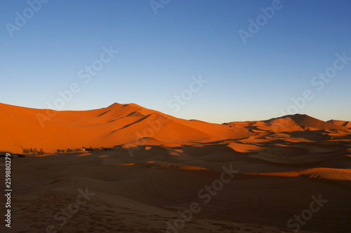 sand dunes in the desert Erg Chebbi morocco