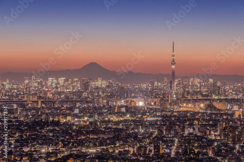Tokio miasto w nocy widok z Mt.Fuji