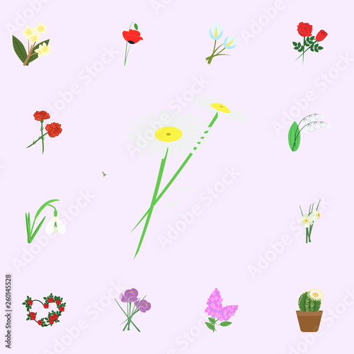 Chamomile flowers color icon. flowers icons universal set for web and mobile