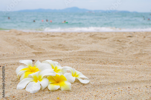 A bunch of frangipani flowers on the sand beach with blue sea on background