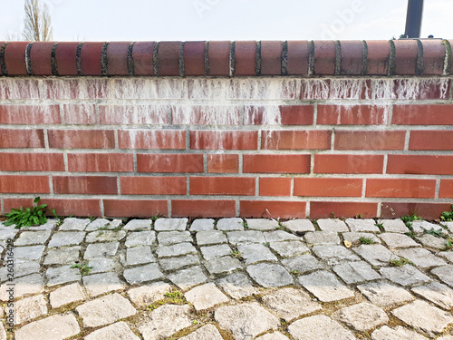 Ausblühung am Mauerwerk Salpeter - Wall Efflorescence