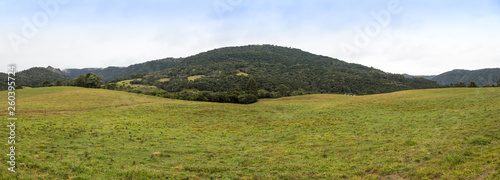 Paisagem com pasto e colina