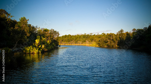 Landscape of the channel between Rasoabe and Ranomainty Lakes,Toamasina Province, Madagascar