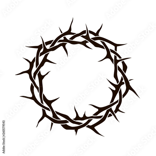 black crown of thorns image isolated on white background 