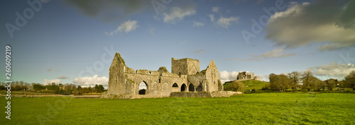 Landscape with ruined church and Rock of Cashel, Ireland