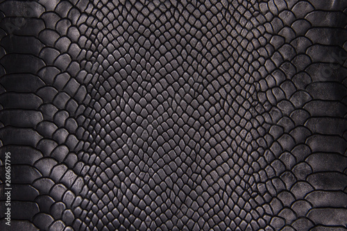 Background texture black leather reptiles