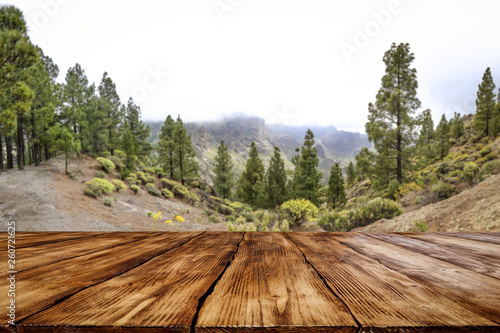 Wooden table of free space for your decoration. Mountains landscape of Gran Canaria island. Green big trees and rainy clouds