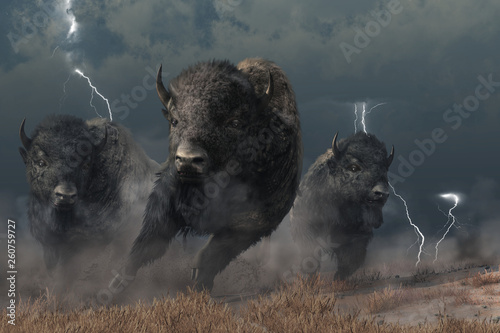 Three buffalo stampede accross the North American prairie. Driven by the flasing lightning and booming thunder of a storm, these bison raise a cloud of dust as they run. 3D Rendering