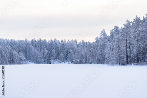 The forest on the ice lake has covered with heavy snow and sky in winter season at Lapland, Finland.