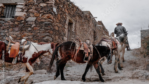 Amazing riding horses at Real de Catorce ghost town in San Luis Potosi, Mexico