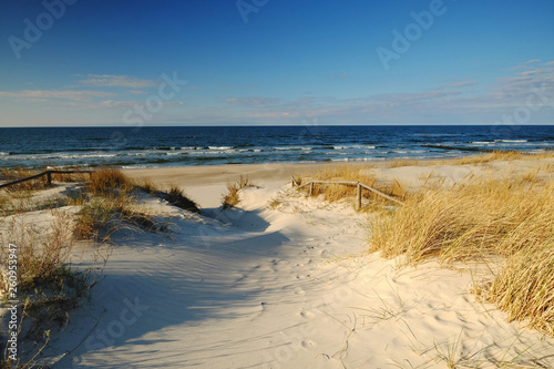 Wydmy nad Morzem Bałtyckim,Kołobrzeg,Polska.