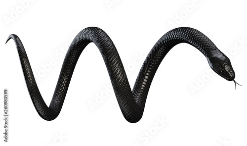 Black Snake isolated on White Background. 3D illustration