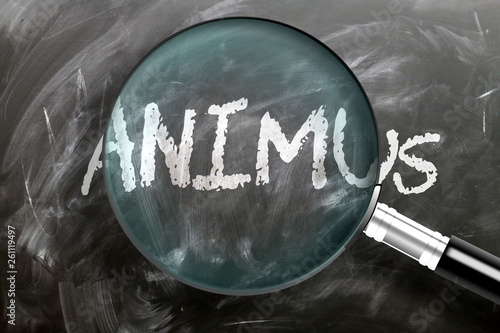 Learn, study and inspect animus - pictured as a magnifying glass enlarging word animus, symbolizes researching, exploring and analyzing meaning of animus, 3d illustration